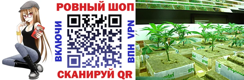 Купить наркотики цена Салаир Alpha PVP Галлюциногенные грибы ГАШ COCAIN Мефедрон