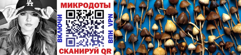 Галлюциногенные грибы Psilocybine cubensis  Салаир 